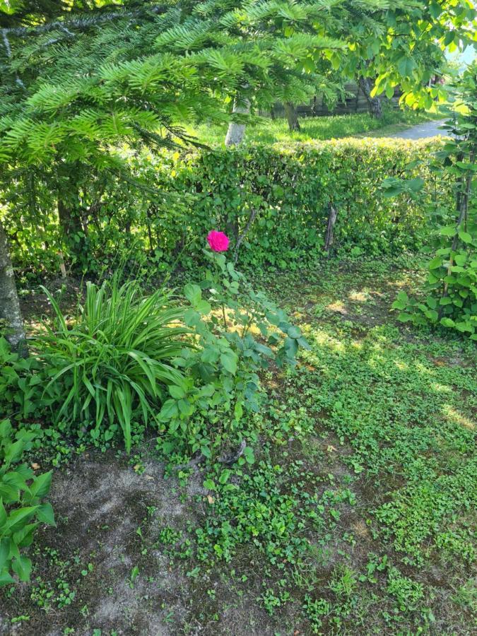 Holiday Home Hizica V Plavem Trnacu Gornja Stubica 외부 사진