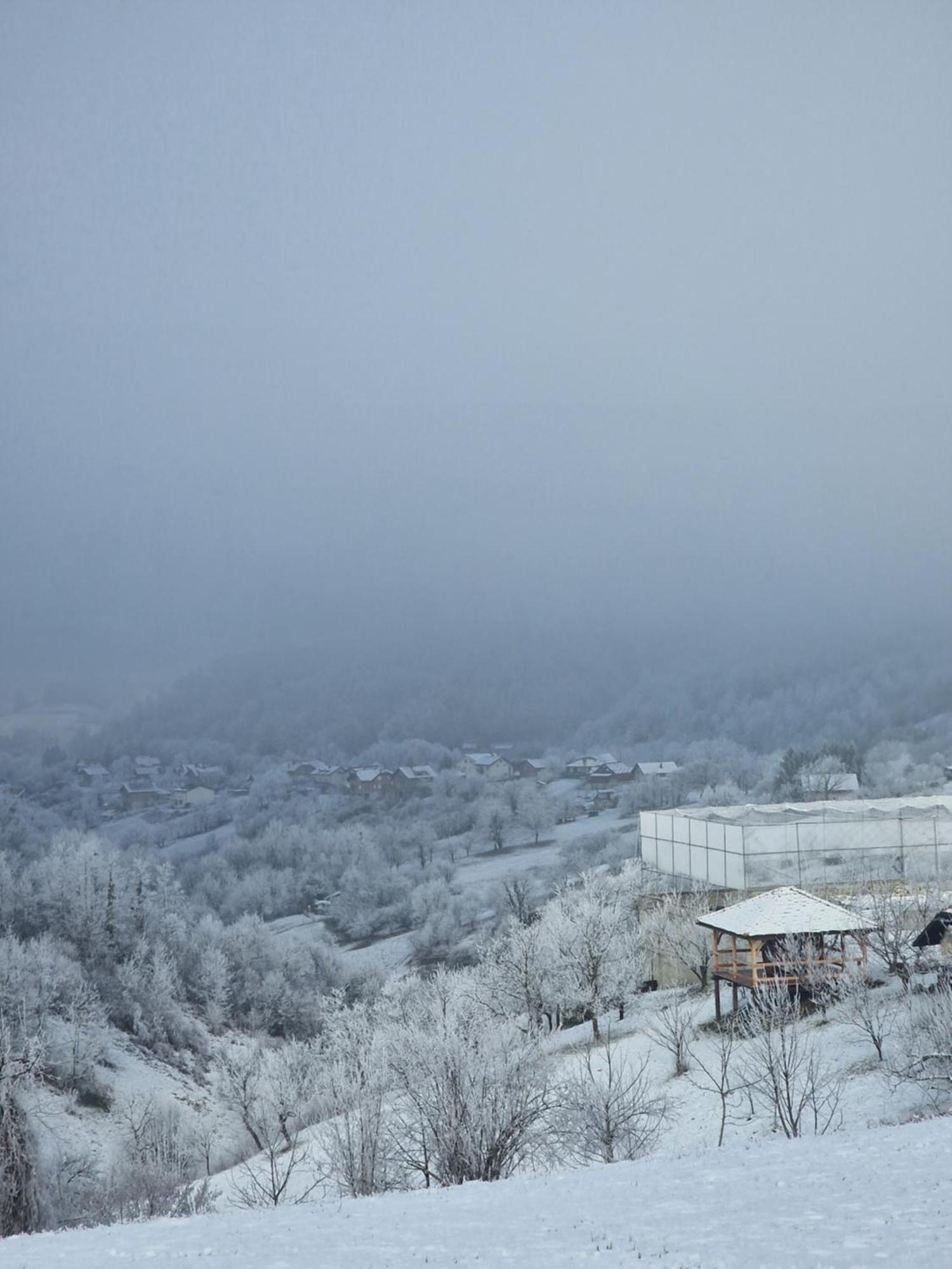Holiday Home Hizica V Plavem Trnacu Gornja Stubica 외부 사진