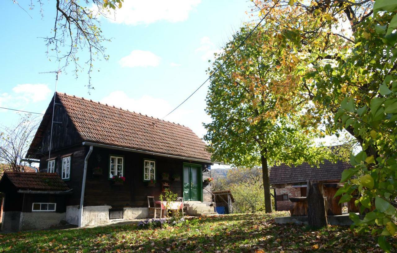 Holiday Home Hizica V Plavem Trnacu Gornja Stubica 외부 사진