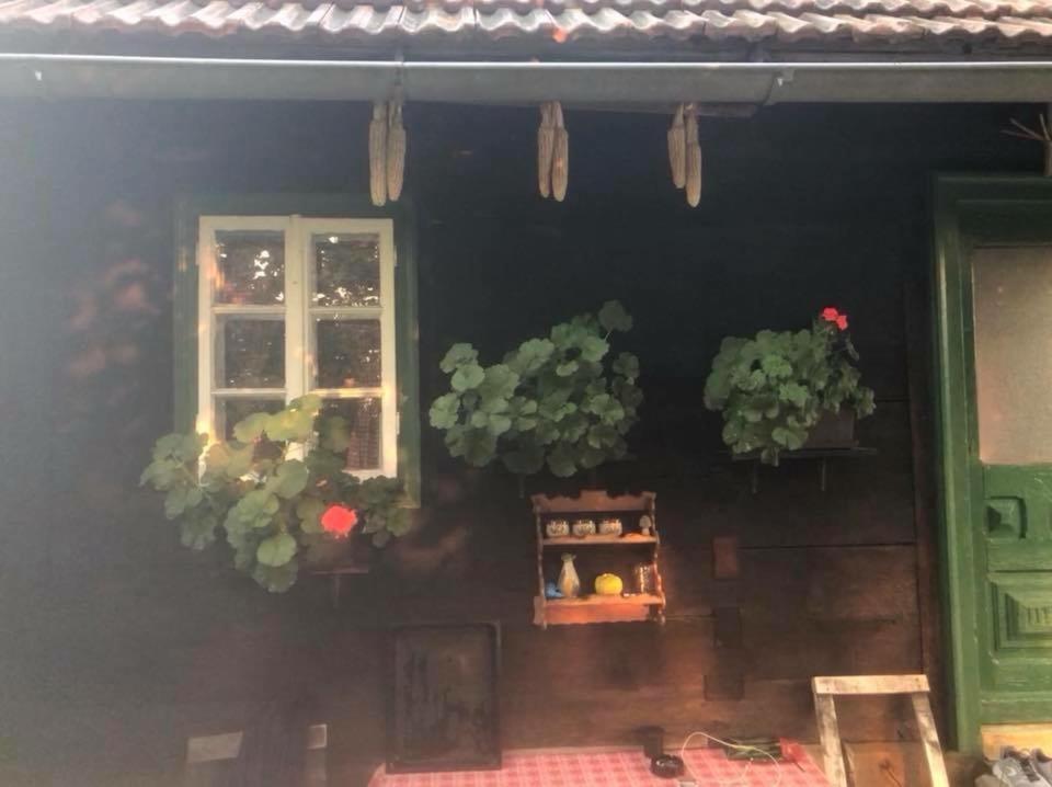 Holiday Home Hizica V Plavem Trnacu Gornja Stubica 외부 사진